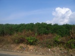 43414R0012784.JPG