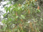 48285CIMG4622.JPG