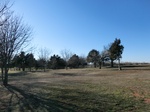 43155CIMG0184.JPG