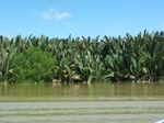 54675Bulungan (170).JPG