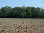 1777624042008(35).JPG