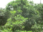 48386CIMG4723.JPG