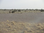 36678CIMG0447.JPG