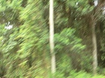 47525CIMG3862.JPG