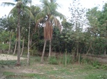21916DSC08513.JPG