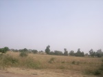 9094RIMG0174.JPG