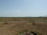 19230P1010076.JPG