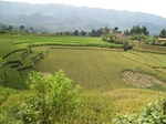 13778IMG_4040.JPG