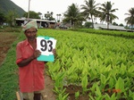 6414093d-irrigated-supplemental-openwell-sugarcane-dominant-turmeric-maidaroot.jpg