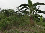 50702CIMG1331.JPG