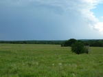 21550P1010374.JPG