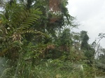 47943CIMG4280.JPG