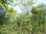 17411100_2097.JPG