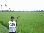 133520379a-irrigated-canal-rice-doublecrop-blackgram.gif