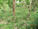 53440CIMG6773.JPG
