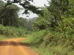 48947CIMG5284.JPG