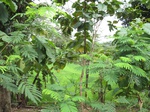 14550IMG_4916.JPG