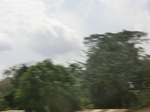 49504CIMG5841.JPG