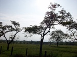 5616100_1042.JPG