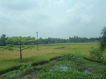 21782DSC08357.JPG