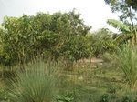 21896DSC08492.JPG