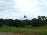 21040P1020911.JPG