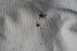 345IMG_3454.JPG