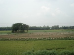 21764DSC08337.JPG