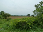 18440P1000276.JPG