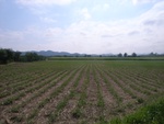 28049RIMG0102.JPG