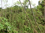 46923CIMG3260.JPG