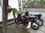 15934IMG_4483.JPG