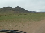 23460P1030308.JPG