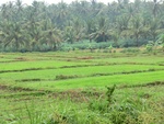 30955CIMG0816.JPG