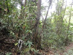 46698DSC02032.JPG