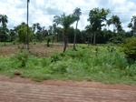 21059P1020933.JPG