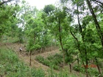 53612CIMG6978.JPG