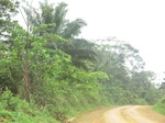 47691CIMG4028.JPG