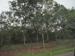 33313IMG_5649.JPG
