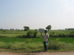 7735gt0130b-cultivated-irrigated-minor-tank-rice.jpg