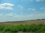 55319CIMG1372.JPG