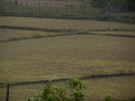 1707911052008(87).JPG