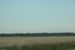 2024-06-17_22-14-43_F6B9CB4C-5236-4E20-9F69-ED93B986F560.jpeg