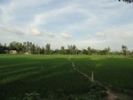 21742DSC00288.JPG