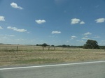35129DSC02334.JPG