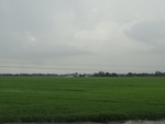 21936DSC00187.JPG