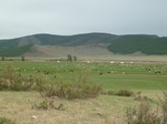 23425P1030256.JPG