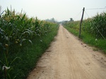9203DSC01319.JPG