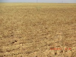 29948CIMG0443.JPG