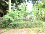 31041CIMG0903.JPG